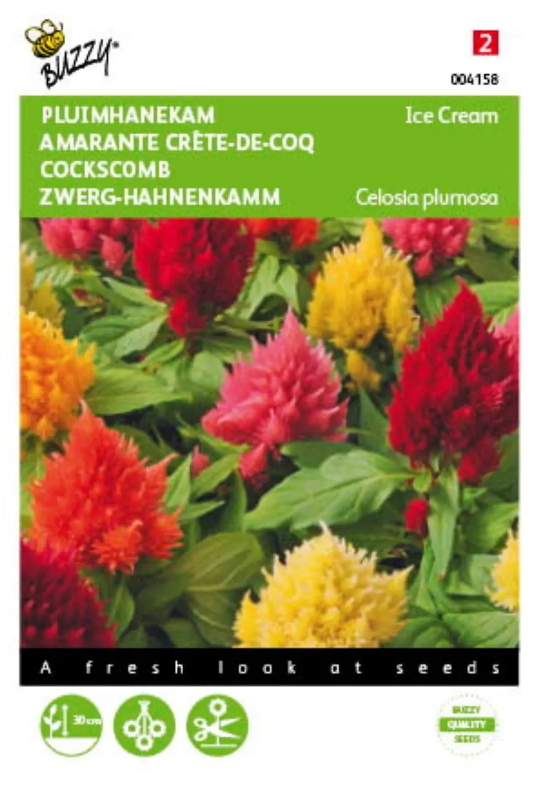 Zaden Celosia Pluimhanekam Ice Cream gemengd Buzzy