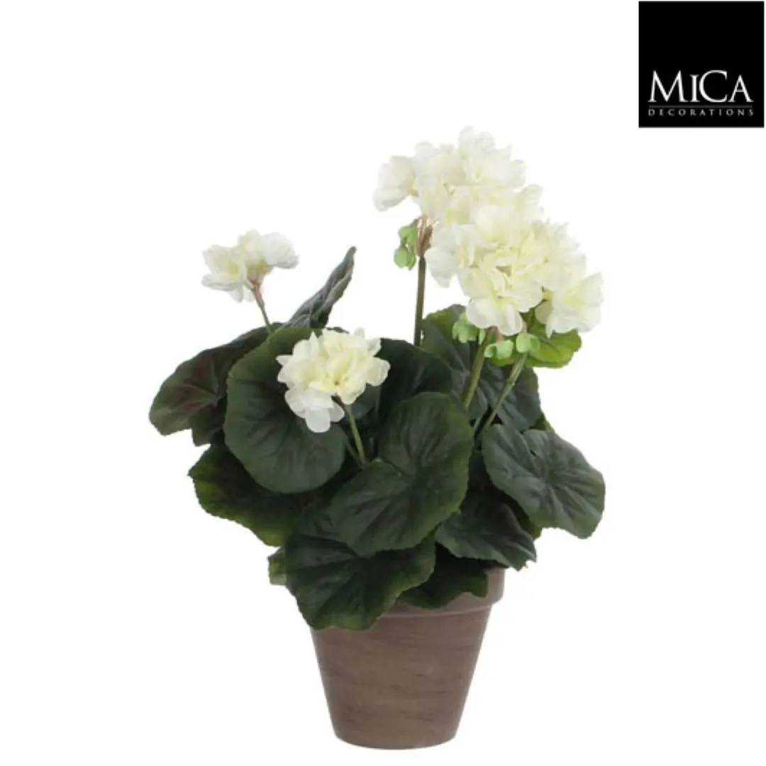 6 stuks! Geranium creme in pot stan grijs d11,5 cm h34xd20 cm Mica Decorations (e)