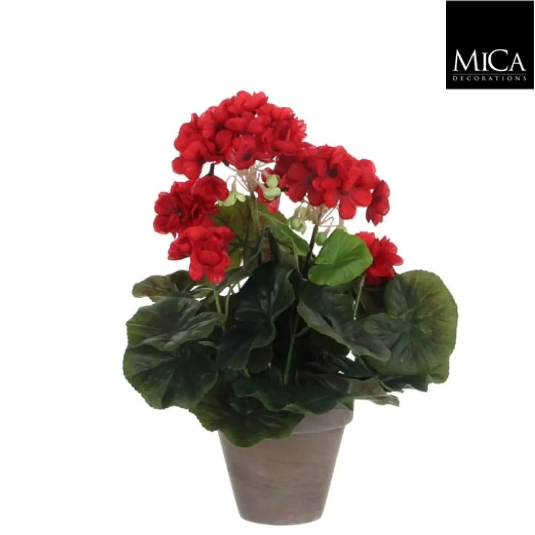6 stuks! Geranium rood in pot stan grijs d11,5 cm h34xd20 cm Mica Decorations (e)