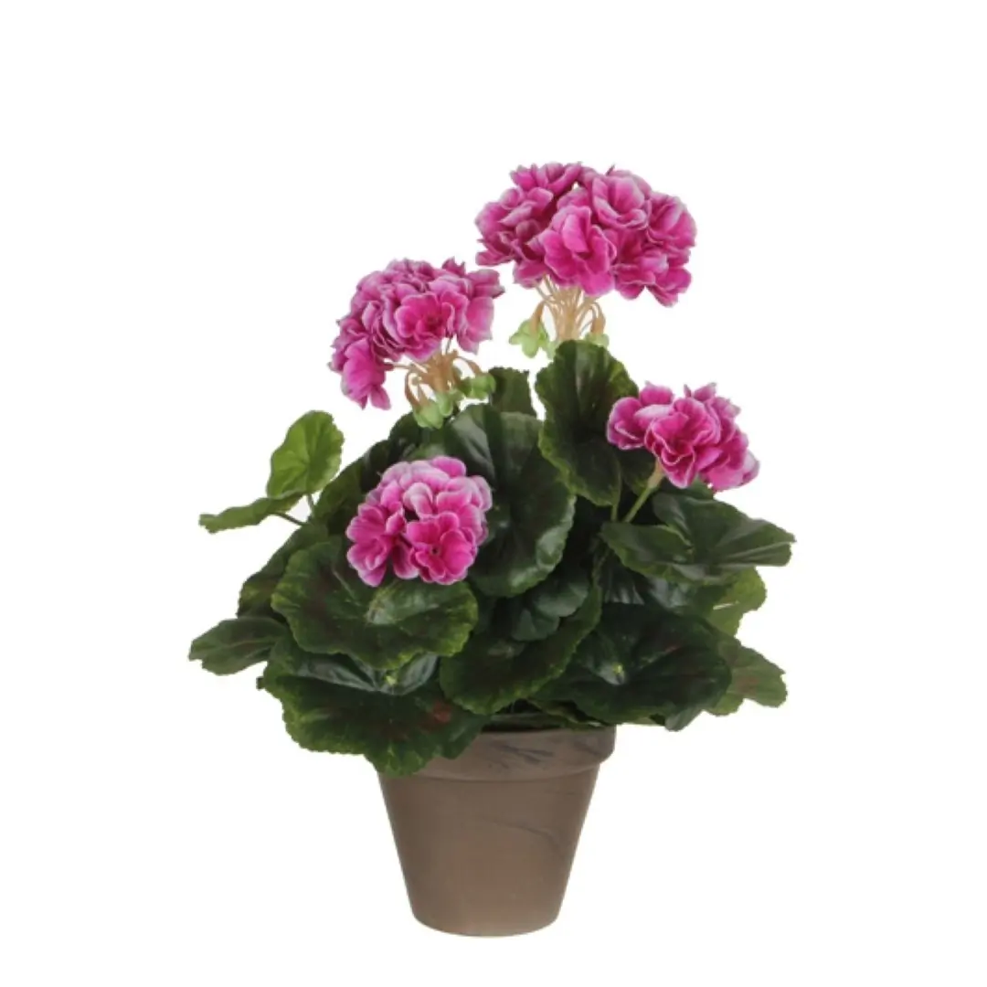 6 stuks! Geranium paars in pot stan grijs d11,5 cm h33 cm Mica Decorations (e)