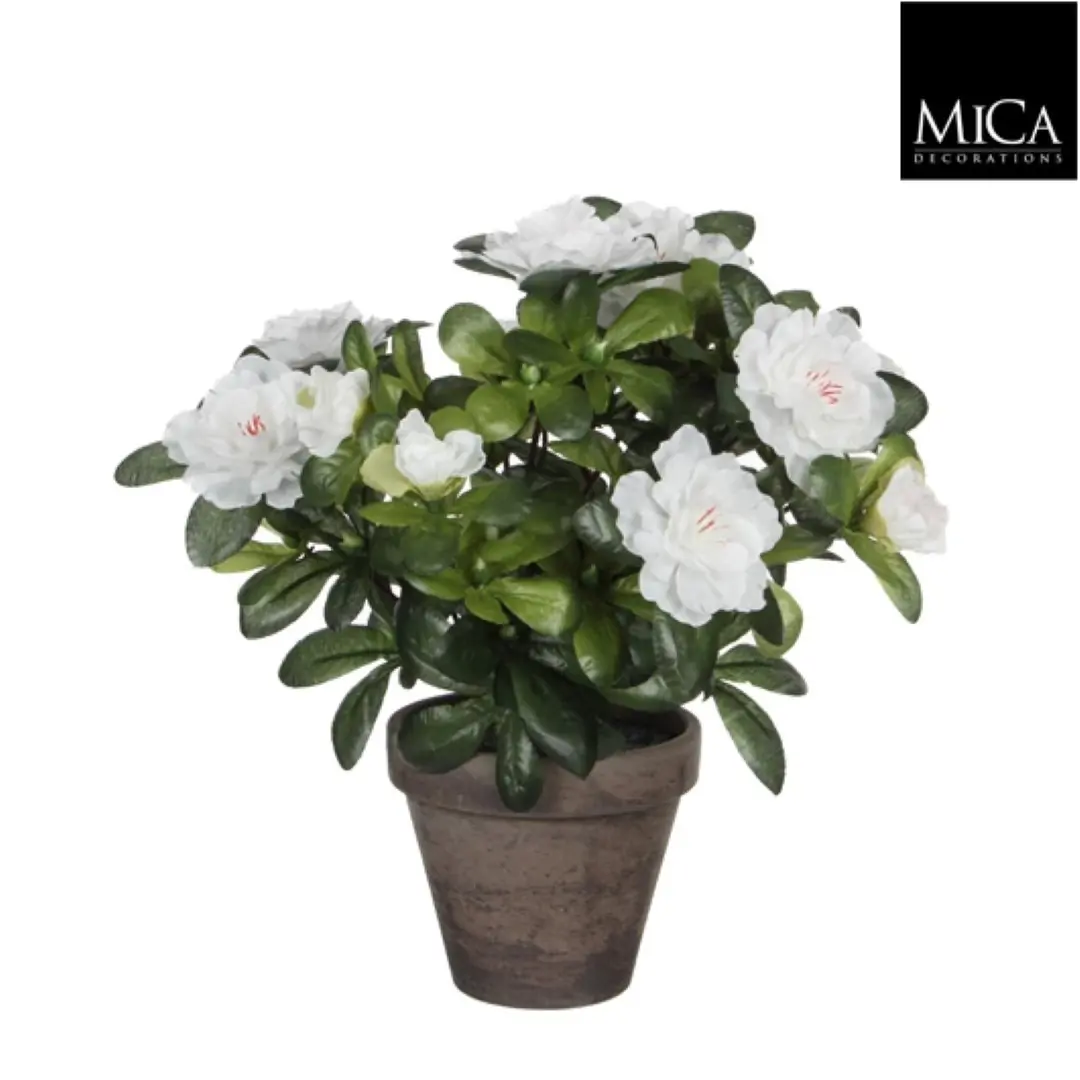 6 stuks! Azalea wit in pot stan grijs d11,5 cm h27 cm Mica Decorations (e)