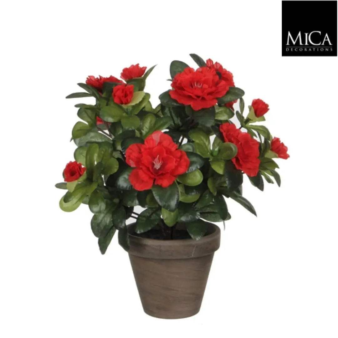 6 stuks! Azalea rood in pot stan grijs d11,5 cm h27 cm Mica Decorations (e)