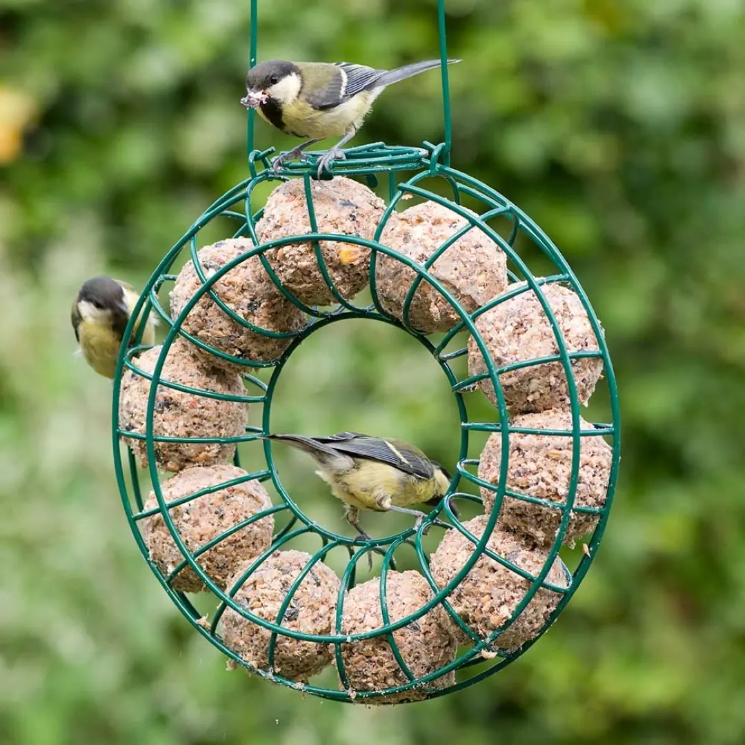 Metalen mezenbolhouder rond groen 25x7 cm Gebr. de Boon