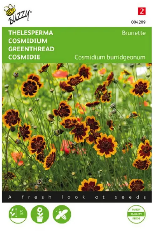 Zaden cosmidium thelesperma brunette 0.5 gram Buzzy