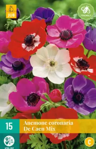 Anemone cor. De Caen Mix JUB, 15 bloembollen
