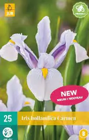 Iris hollandica Carmen JUB, 25 bloembollen
