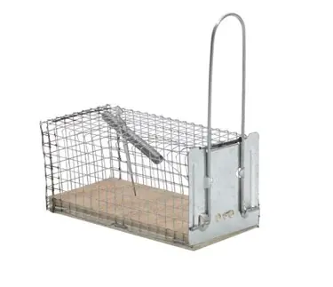 Vangkooi muizen 1st Protect Home SBM