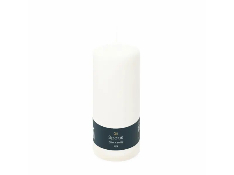 Cylinder d8h20 cm wit Spaas