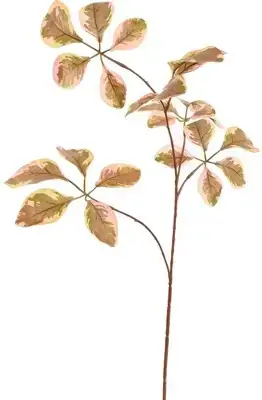 Beukenbladtak l74 cm roze Pure Royal