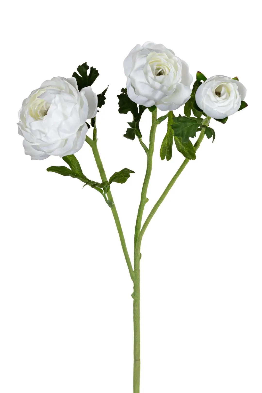 Ranonkel x3 l70cm wit kunstbloem Louis Maes