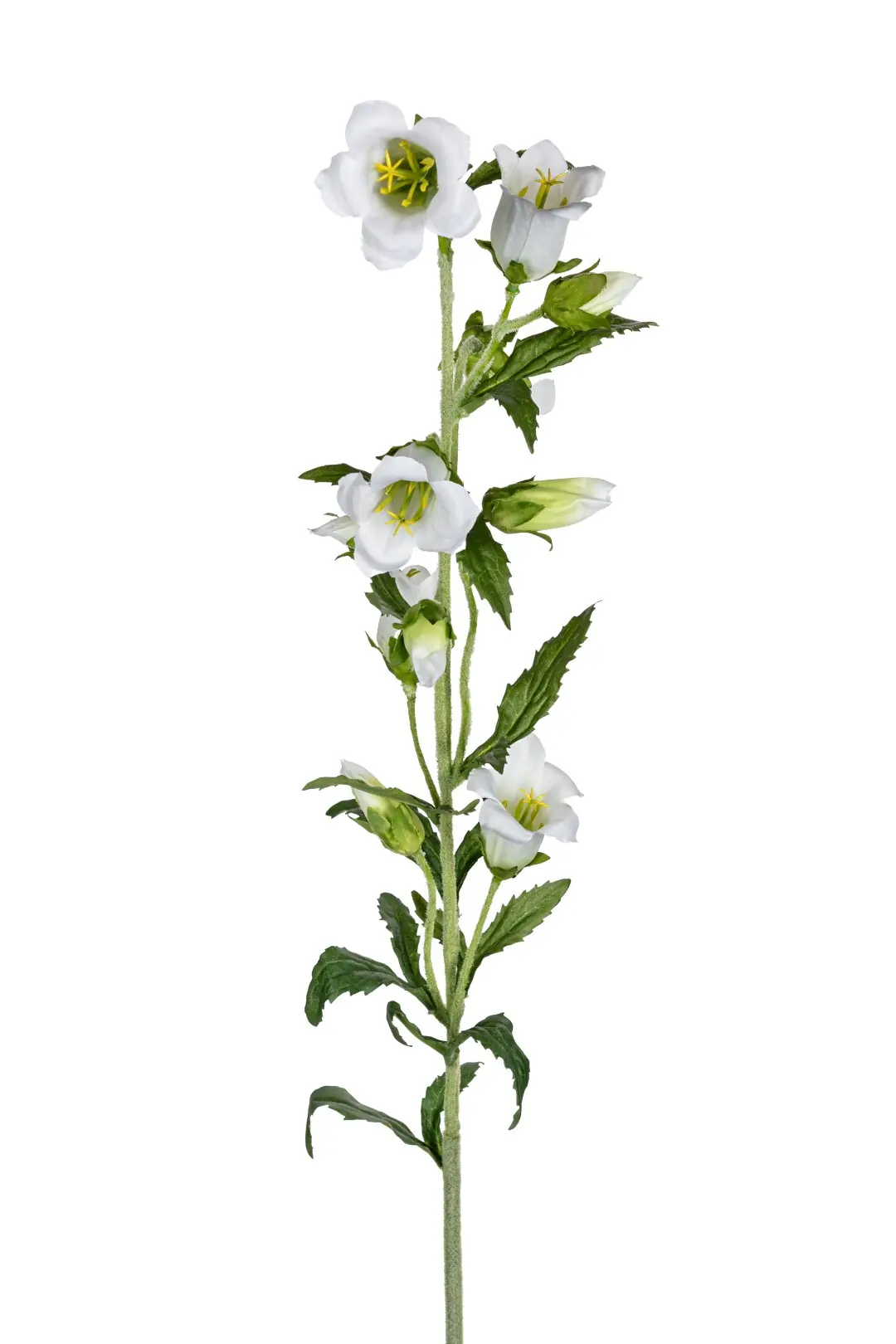 Campanula l87cm wit kunstbloem Louis Maes