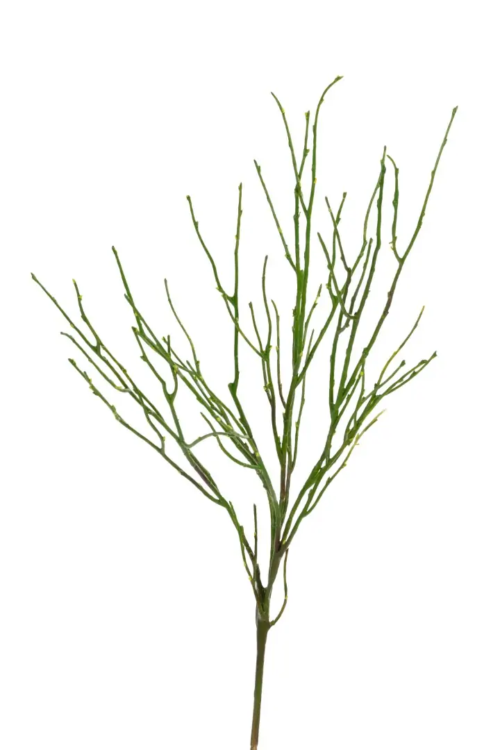 Takje l77 cm groen kunstbloemen Louis Maes