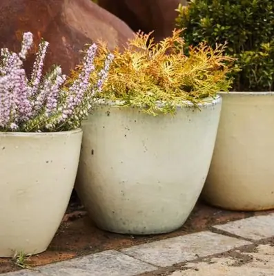 Round egg pot cream d32 Terraliet Hortus
