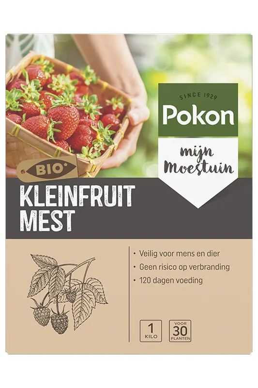 Kleinfruit Voeding 1 kg Pokon