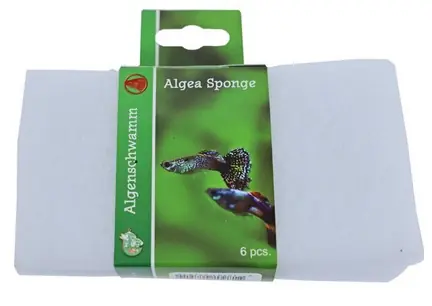 Algenspons pak l15b8cm wit a6 Gebr. de Boon