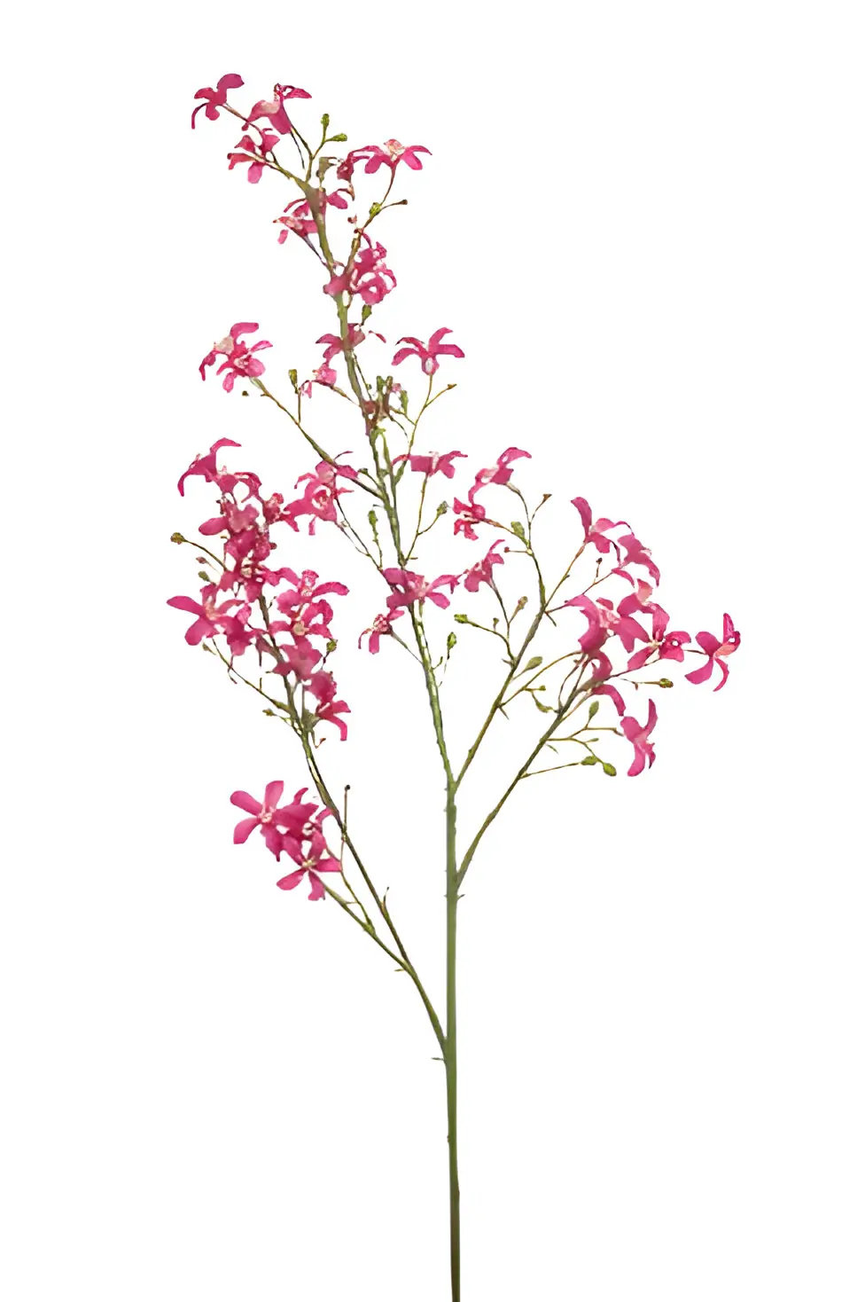 Saxifraga spray fuchsia 93 cm kunstbloem Emerald