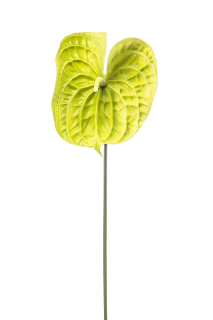 Anthurium spray green 70 cm kunstplant Emerald