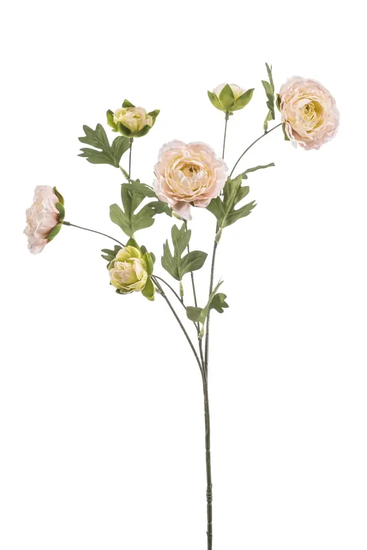 Ranunculus spray lt pink 78 cm kunstplant Emerald