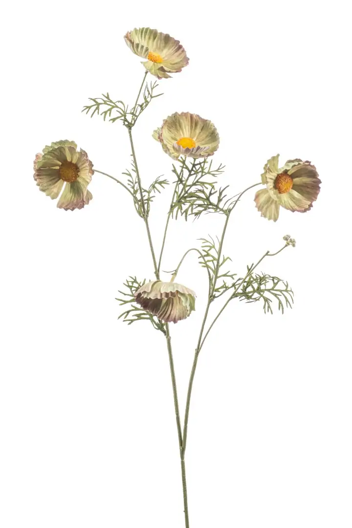 Cosmos spray green 70 cm kunstplant Emerald