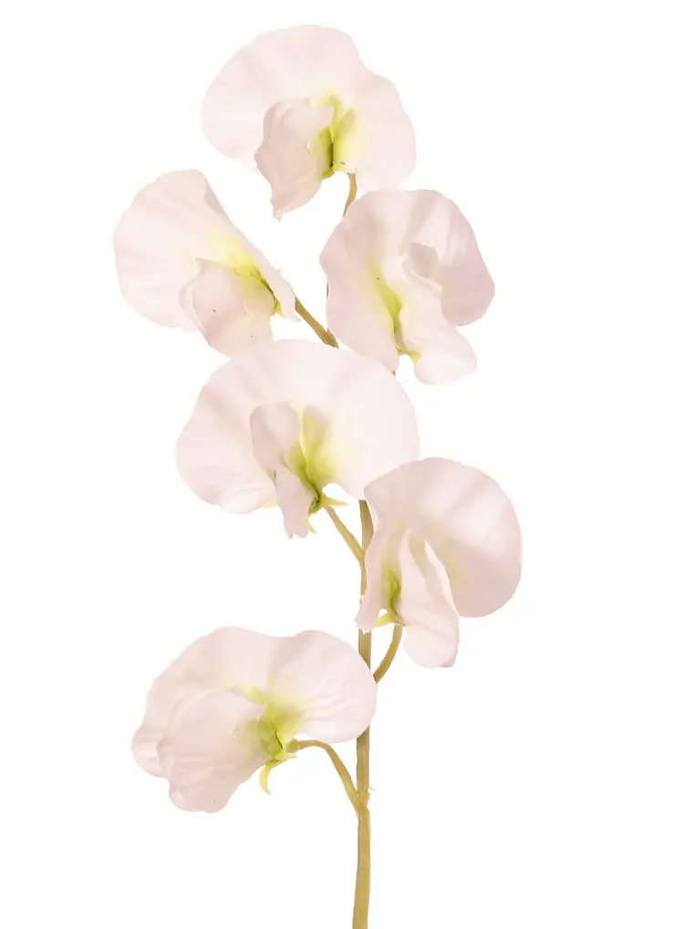 Lathyrus Pronkerwt met 6 bloemen dia. 5 cm 35 cm real touch kunstbloem II Top Art