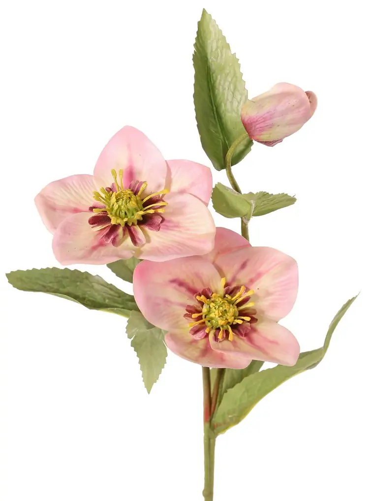 Helleborus Kerstroos met 2 bloemen 8 cm & 10 cm & 1 knop 8 bladeren 55 cm real touch kunstbloem Top Art