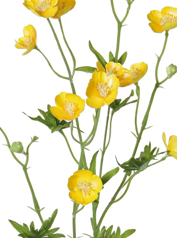 Boterbloemspray shiny 68 cm x12flrs, 3knp 7lvs kunstbloem zijde nepbloem Driesprong Collection