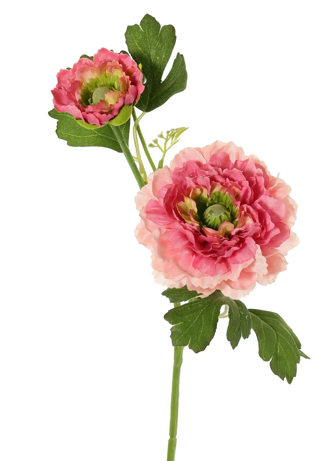 Ranonkel, 2x vertakt met bloemen knop d.roze kunstbloem zijde nepbloem Driesprong Collection