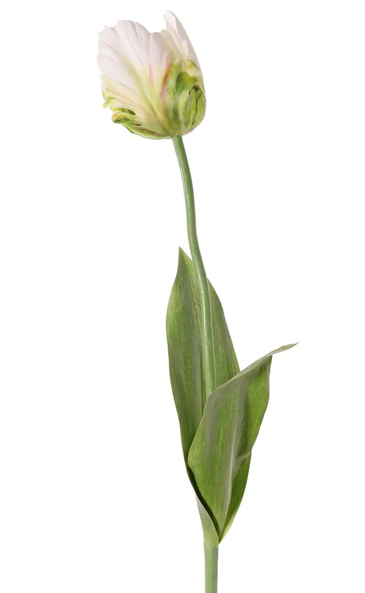 Tulp wit/geel kunstbloem zijde nepbloem Driesprong Collection