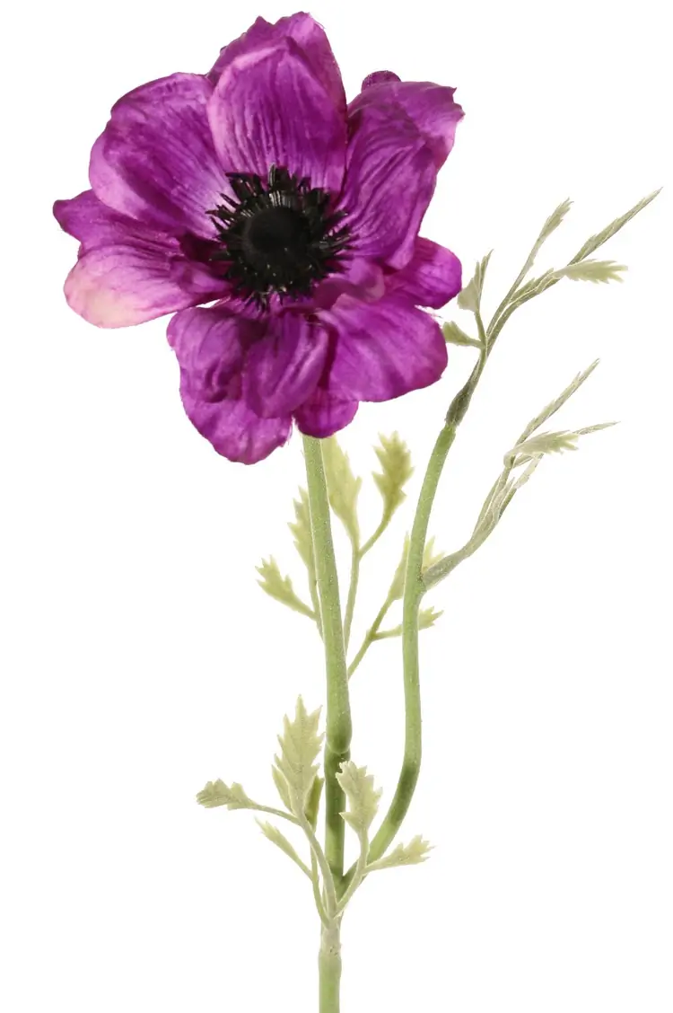 Anemoon nora 1 bloem h53 cm paars kunstbloem zijde nepbloem Driesprong Collection