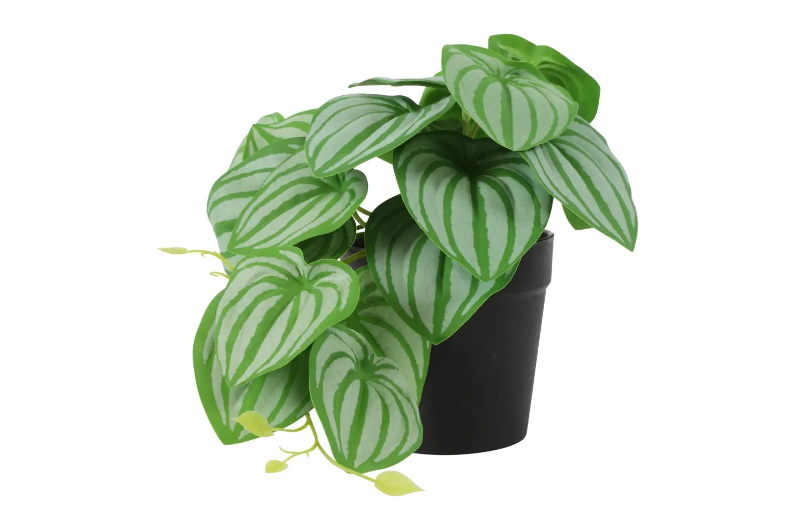 Kunstplant Philodendron groen Countryfield