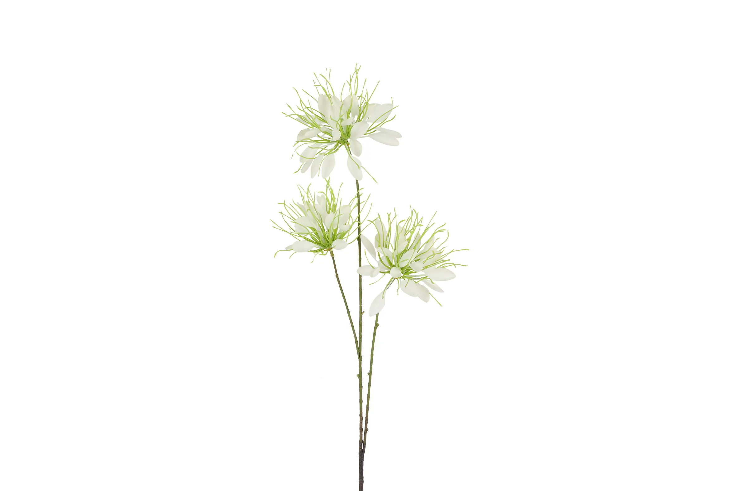 Kunstbloem Lycoris S wit Countryfield