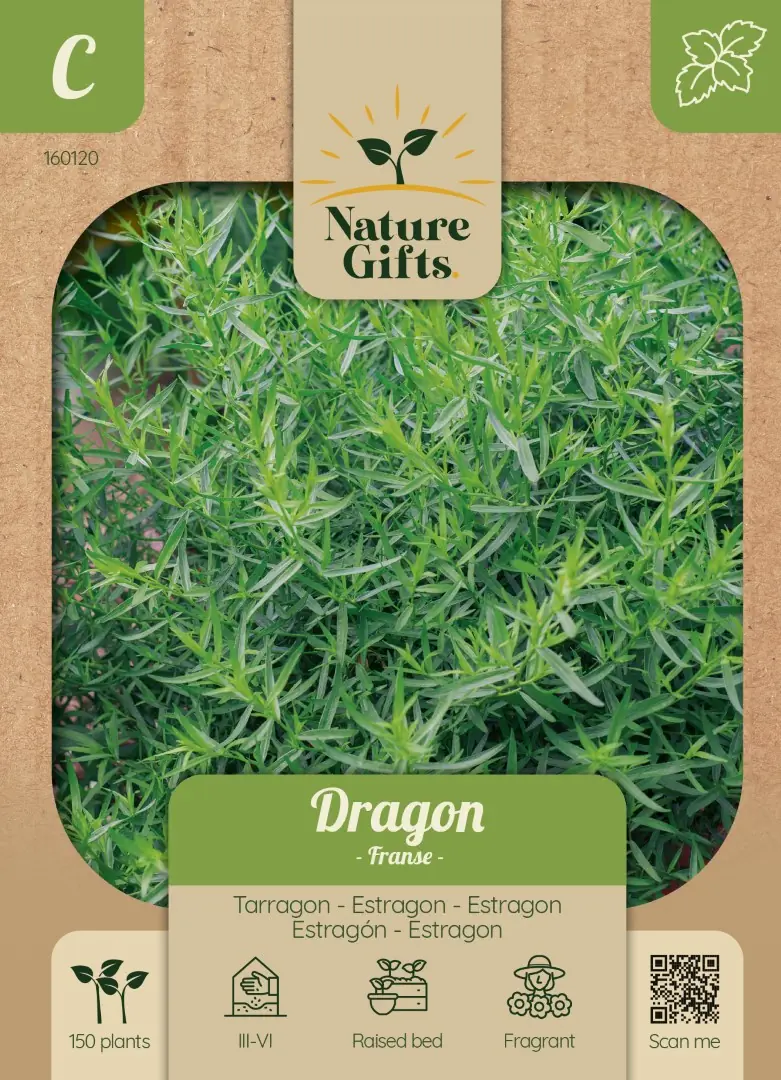 Dragon kruidenzaad Nature Gifts Baltus