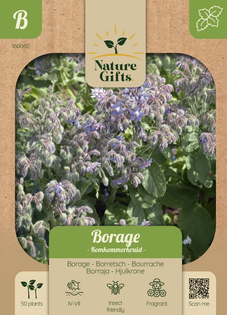 Borage Komkommerkruid kruidenzaad Nature Gifts Baltus