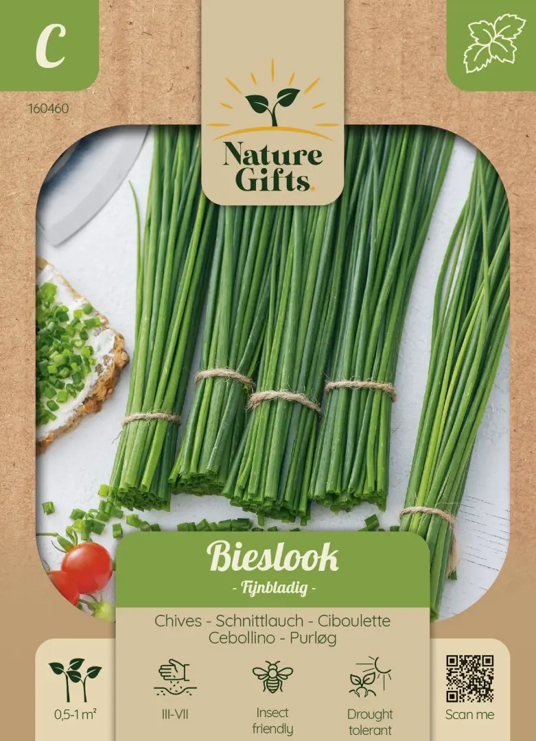 Bieslook Fijnbladig kruidenzaad Nature Gifts Baltus