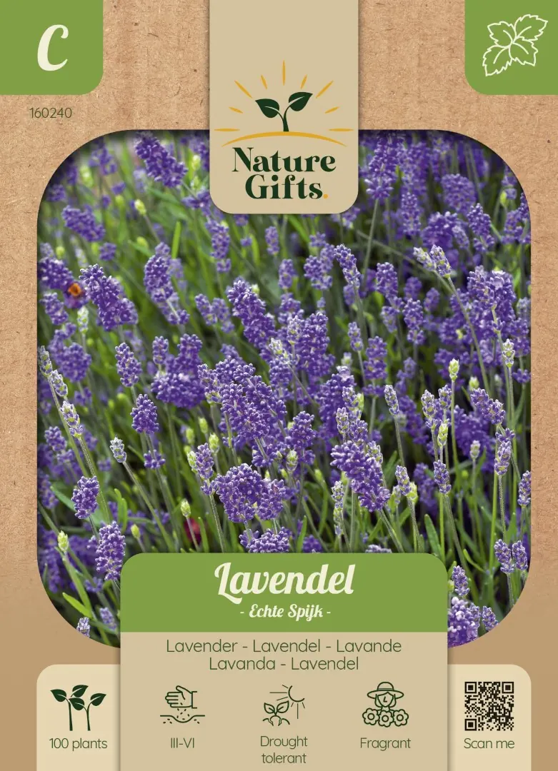 Lavendel Echte Spijk kruidenzaad Nature Gifts Baltus