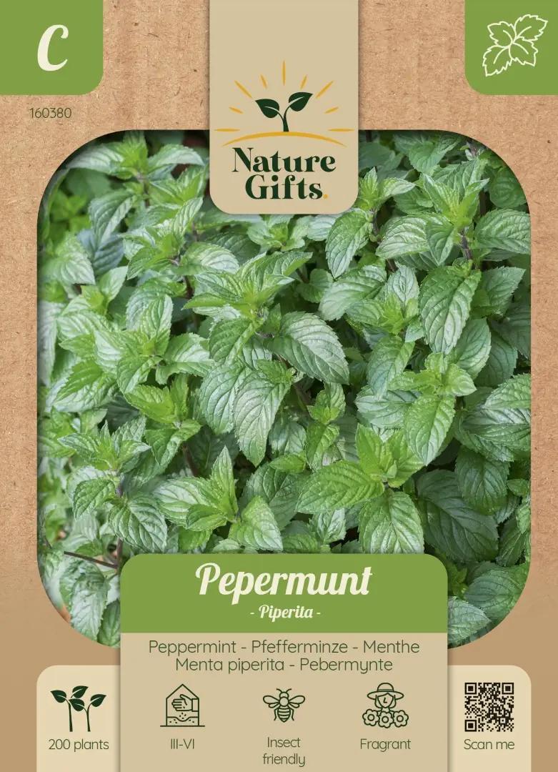 Pepermunt Piperita kruidenzaad Nature Gifts Baltus