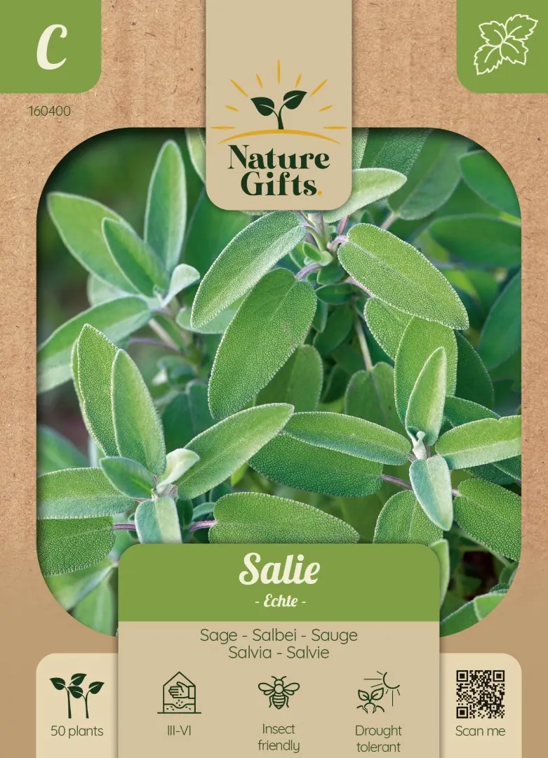 Salie Echte Salvia kruidenzaad Nature Gifts Baltus