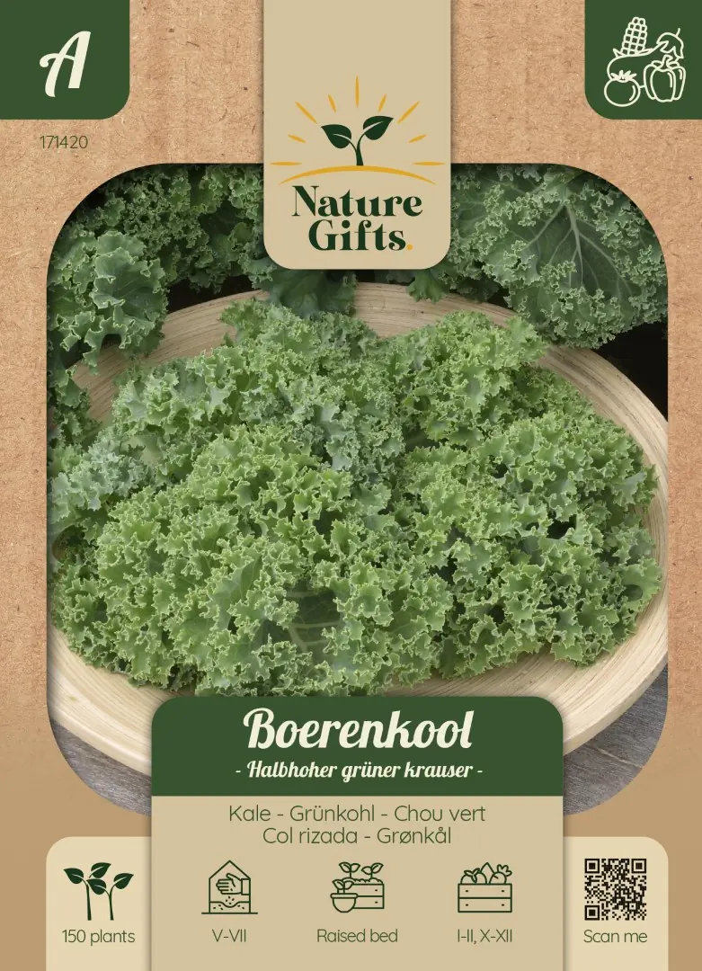 Boerenkool Halfhoge groene gekrulde groentenzaad Nature Gifts Baltus