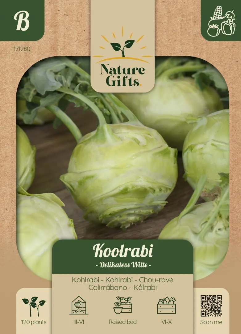 Koolrabi Delikatess Witte groentenzaad Nature Gifts Baltus