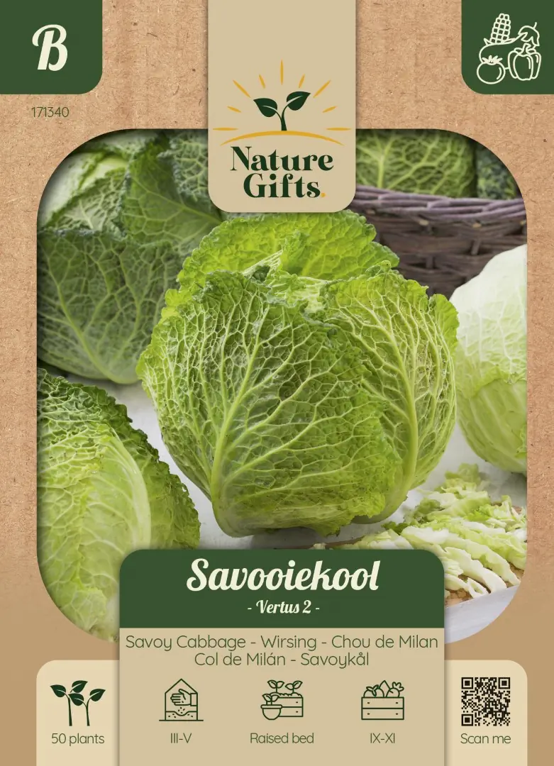 Savooiekool Vertus 2 groentenzaad Nature Gifts Baltus
