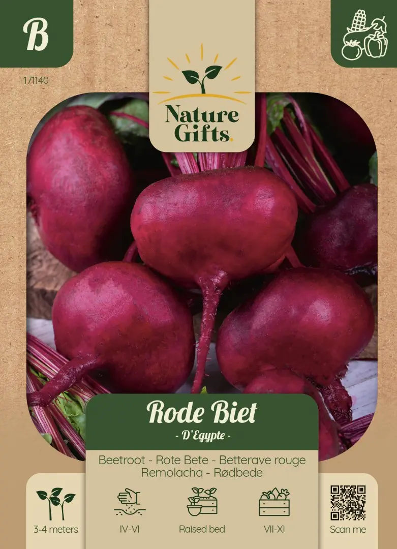 Rode Biet Egypte groentenzaad Nature Gifts Baltus