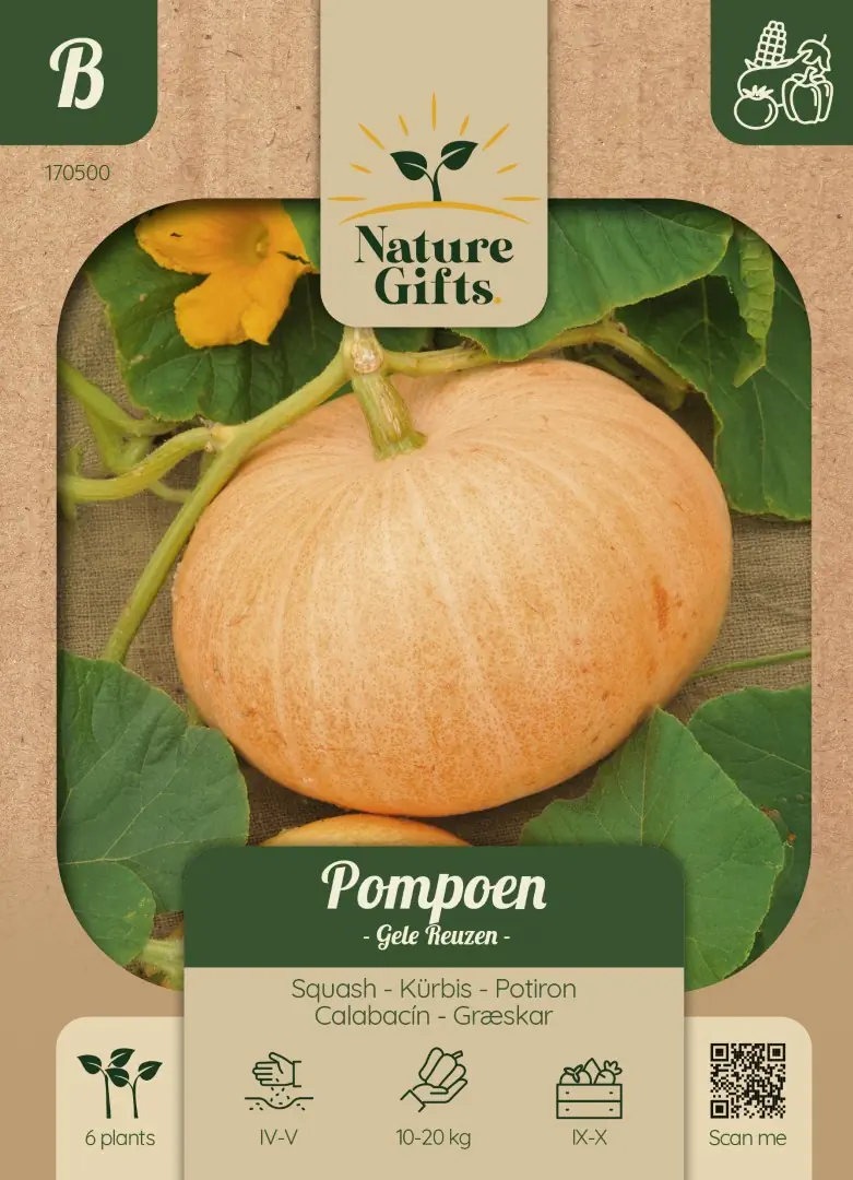 Pompoen Gele Reuzen groentenzaad Nature Gifts Baltus