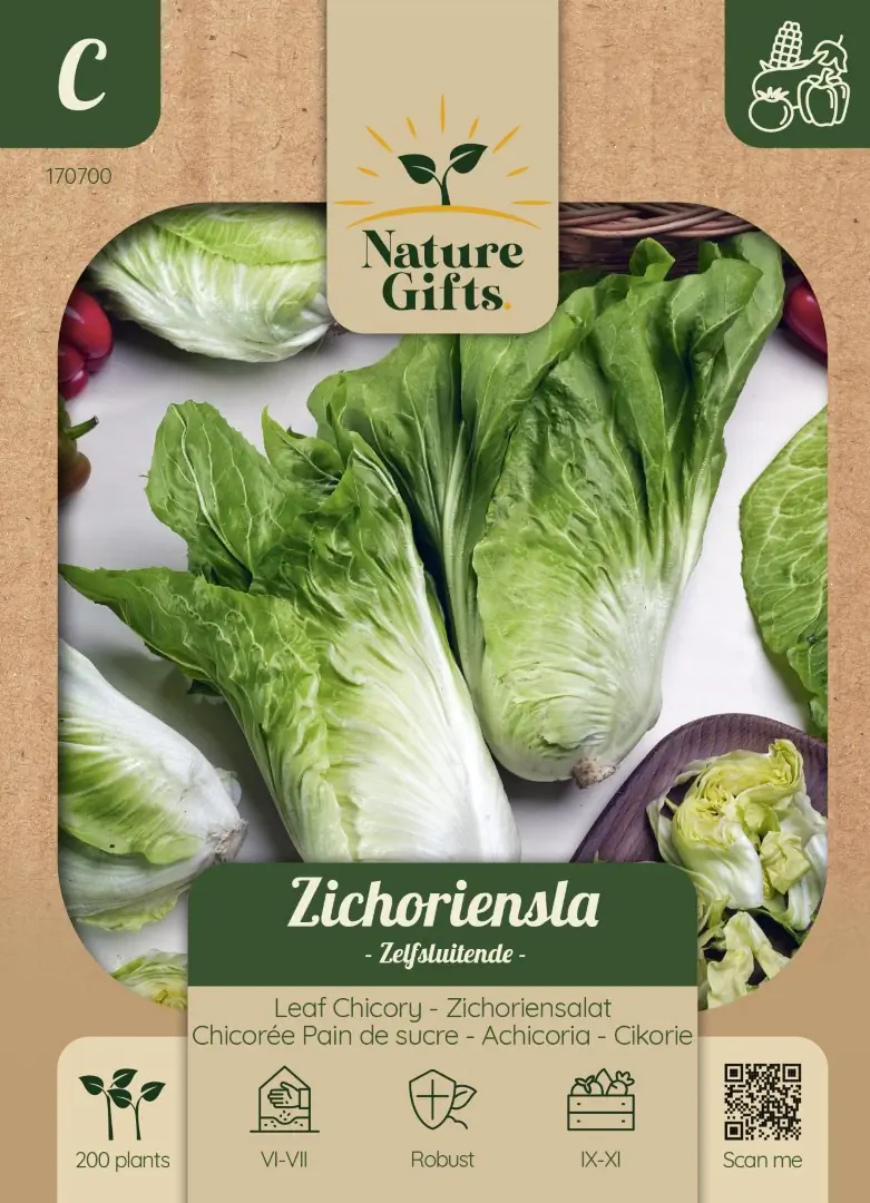 Zichoriensla Herfstsla groentenzaad Nature Gifts Baltus