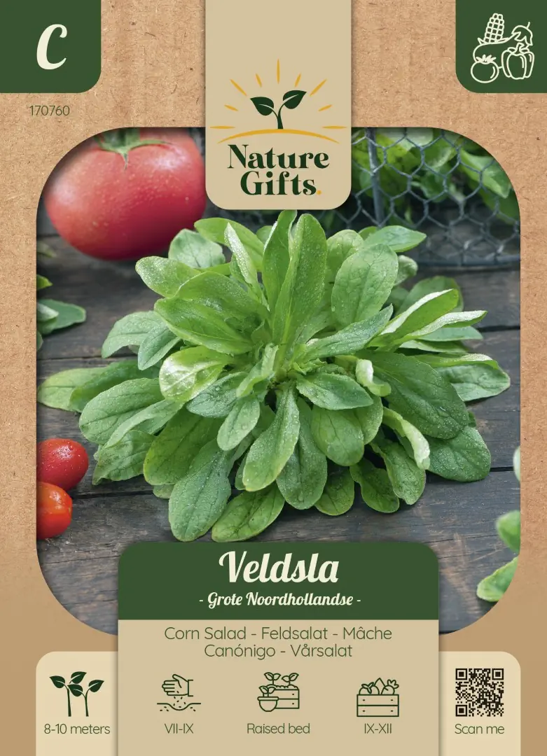 Veldsla Hollandse Breedblad groentenzaad Nature Gifts Baltus
