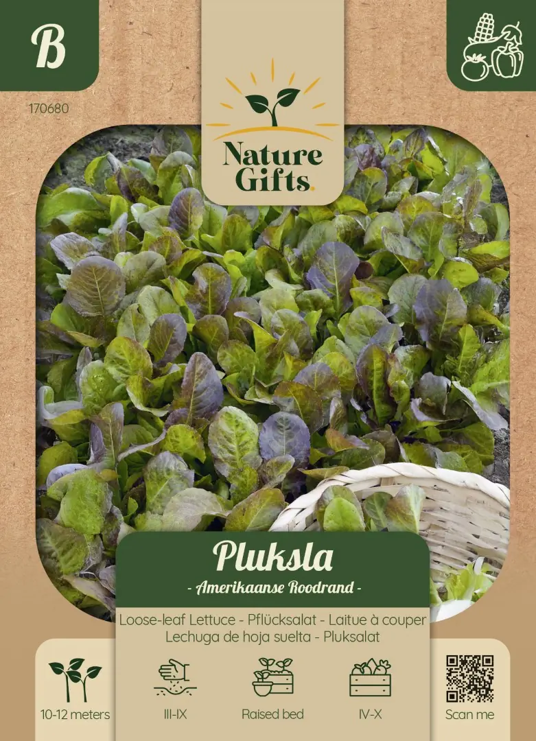 Pluksla Amerikaanse Roodrand groentenzaad Nature Gifts Baltus