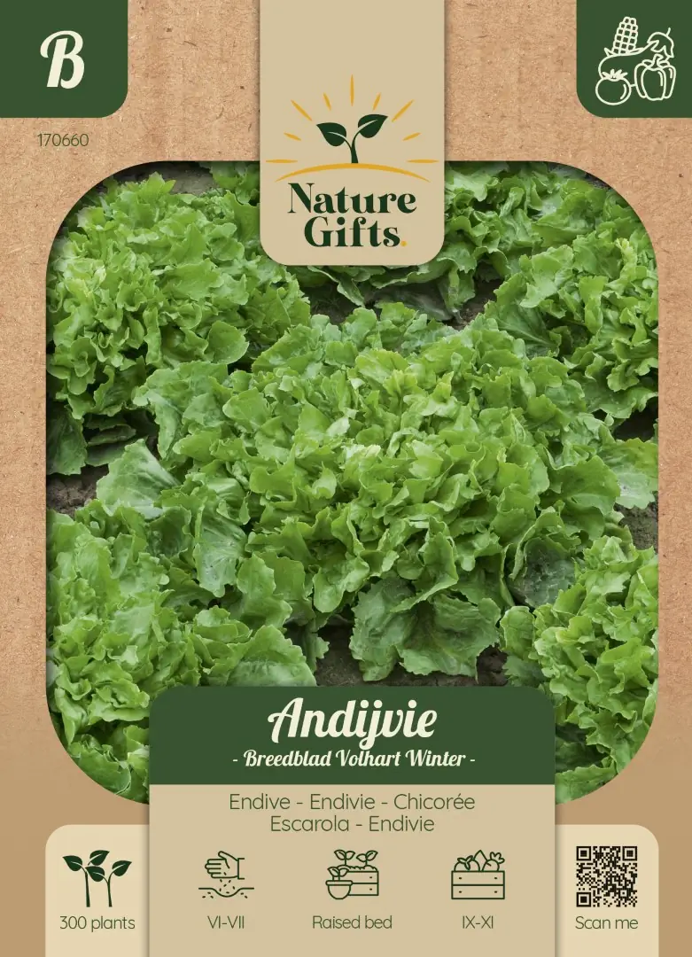 Andijvie Escariol groen groentenzaad Nature Gifts Baltus
