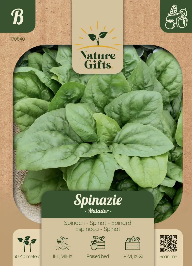 Spinazie Matador groentenzaad Nature Gifts Baltus