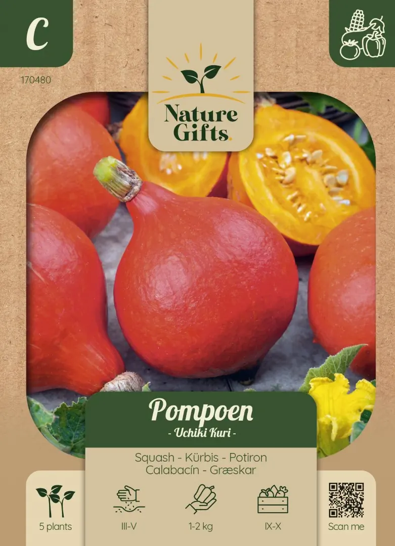 Pompoen Uchiki Kuri groentenzaad Nature Gifts Baltus