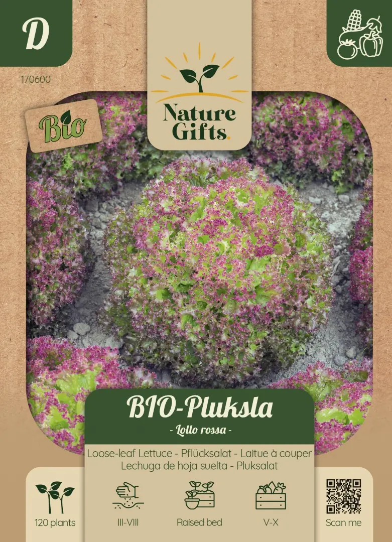 BIO Pluksla Lollo Rossa groentenzaad Nature Gifts Baltus