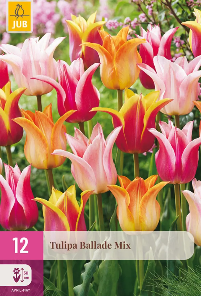 Tulipa Ballade Mix bloembol JUB 12 stuks